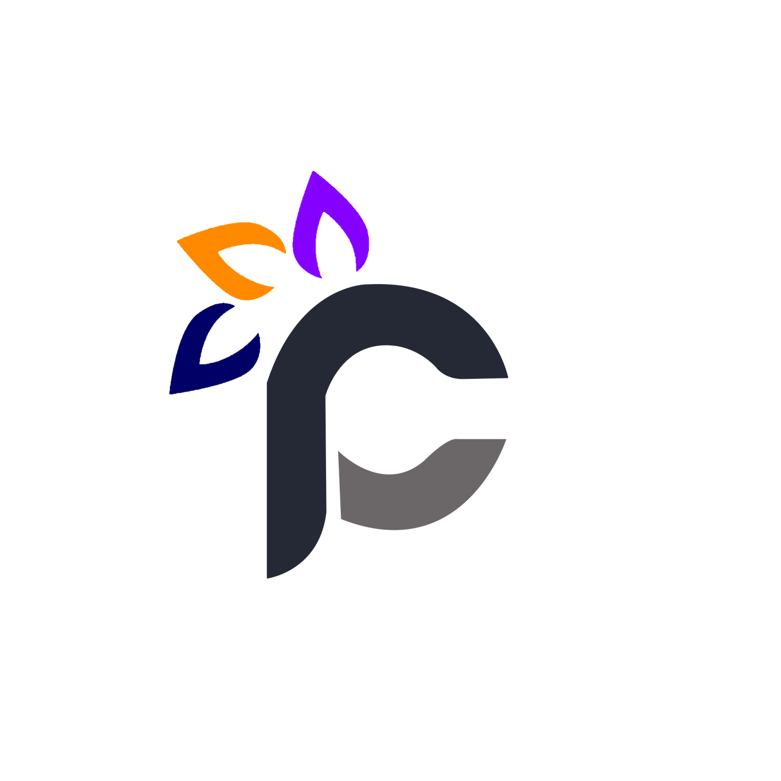 Programmers' Court Ltd